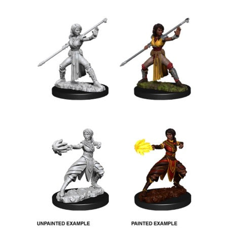 Picture of the Miniature: Half-Elf Monk (Female) - Wizkids Unpainted Deep Cuts