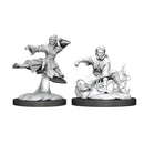 Picture of the Miniature: Human Monk (Female) (2) - Wizkids Unpainted Deep Cuts