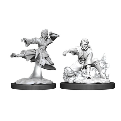 Picture of the Miniature: Human Monk (Female) (2) - Wizkids Unpainted Deep Cuts