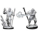 Picture of the Miniature: Firbolg Druid (Male) - Wizkids Unpainted Deep Cuts