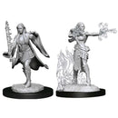D&D Unpainted Minis: Human Multiclass Warlock and Sorcerer