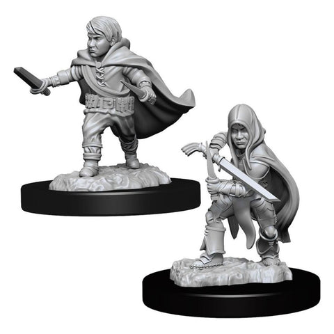 Halfling Rogue W13