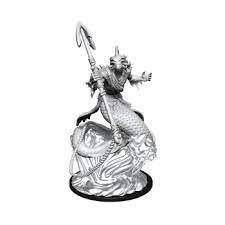 D&D Unpainted Minis: Shallowpriest CR - Wave 01