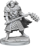 D&D Frameworks: Human Fighter Male - Wave 01