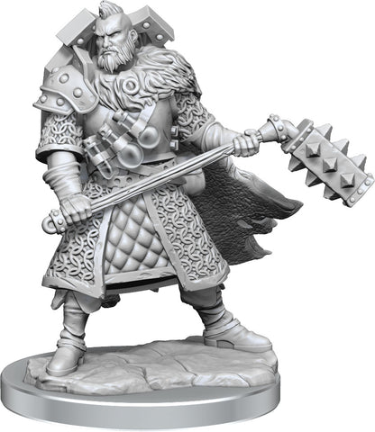 D&D Frameworks: Human Fighter Male - Wave 01