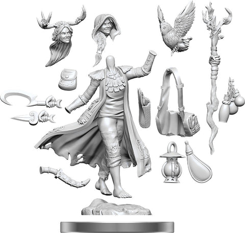 D&D Frameworks: Human Druid Female - Wave 01