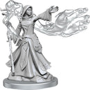 D&D Frameworks: Elf Wizard Female - Wave 01