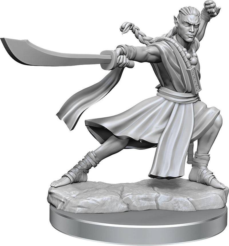 D&D Frameworks: W01 Elf Monk Male