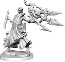 D&D Frameworks: Dragonborn Sorcerer Female - Wave 01