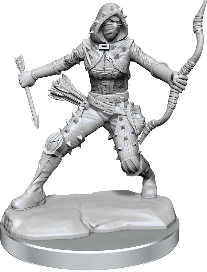 D&D Frameworks: W01 Human Rogue Female