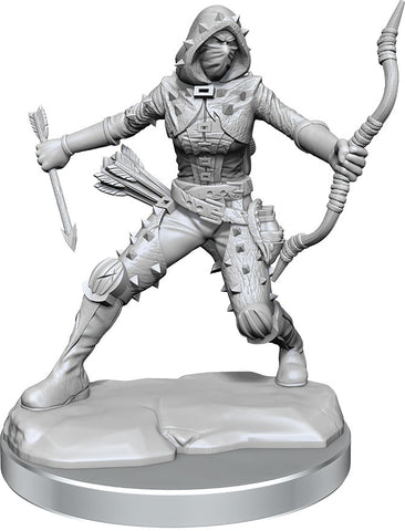 D&D Frameworks: Human Rogue Female - Wave 01