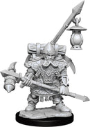 D&D Frameworks: Dwarf Fighter Male - Wave 01