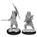 D&D Unpainted Minis: Human Fighter (Male)