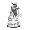 D&D Unpainted Minis: Djinni