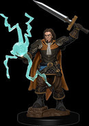 Premium Human Cleric (Male)